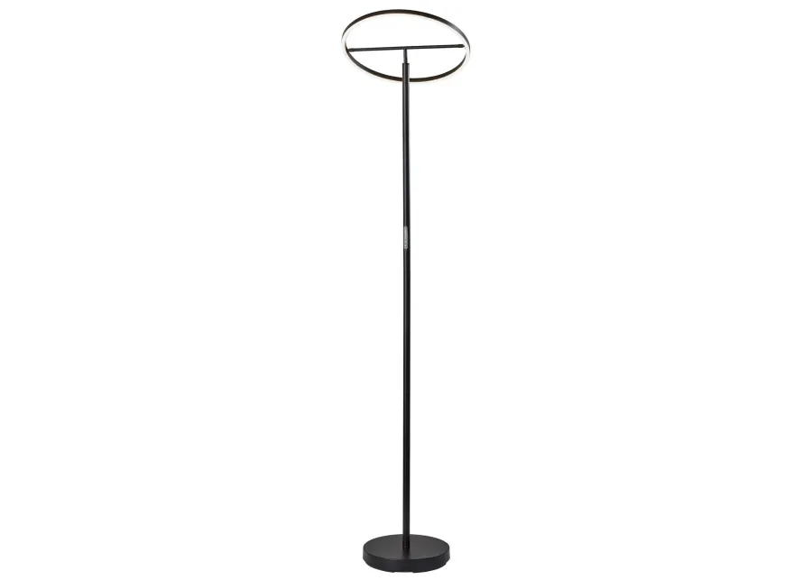 Falcon LED Floor Lamp w. Smart Switch