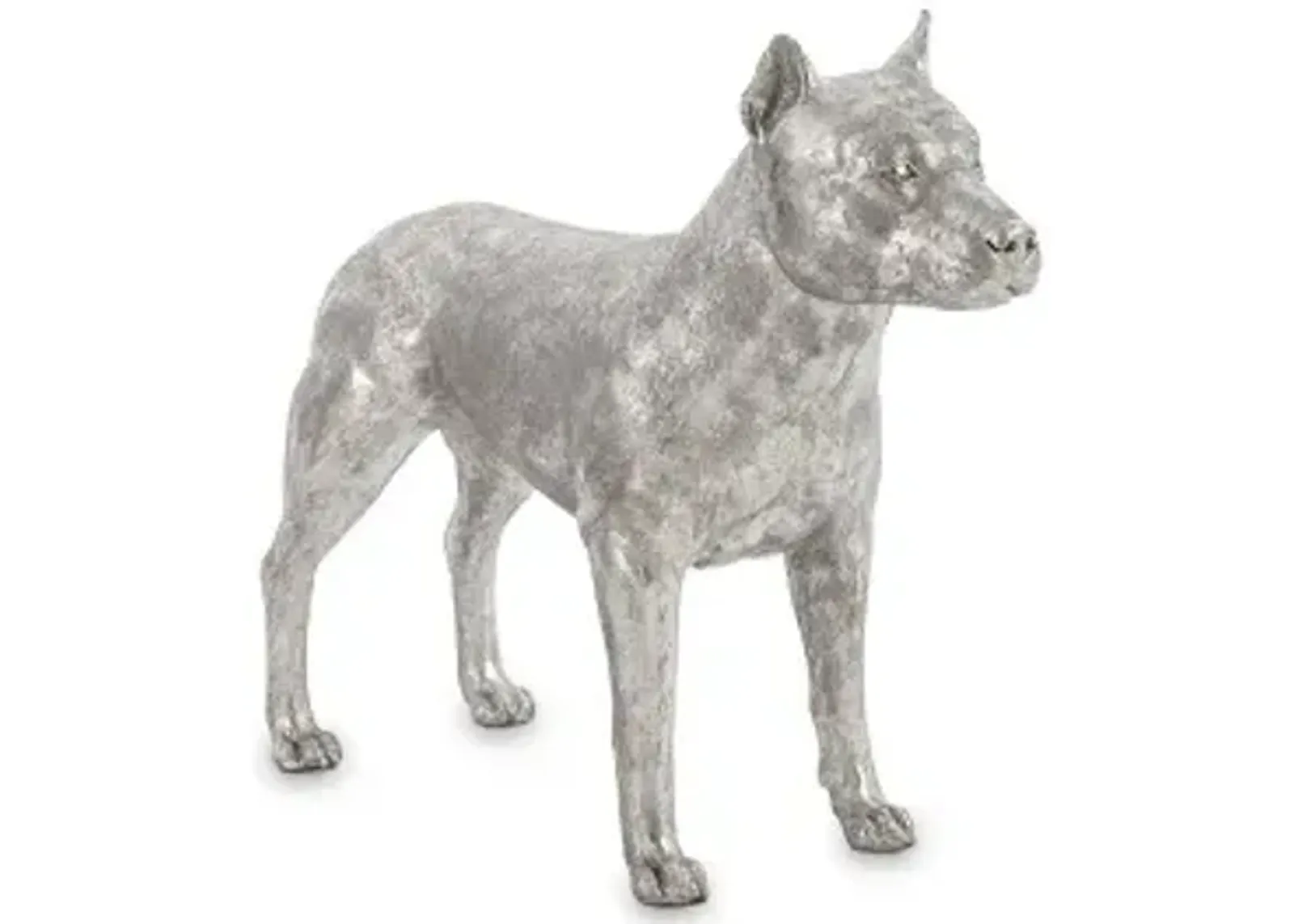 pit bull, silver leaf