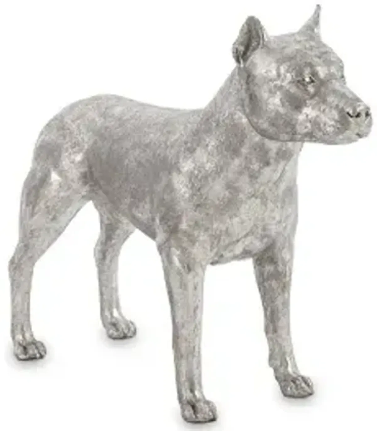 pit bull, silver leaf