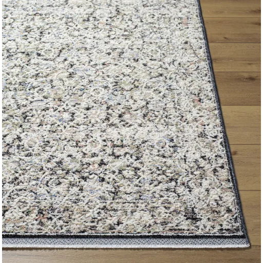 Rivaldo RVD-2300 2'4" x 3'9" Machine Woven Rug