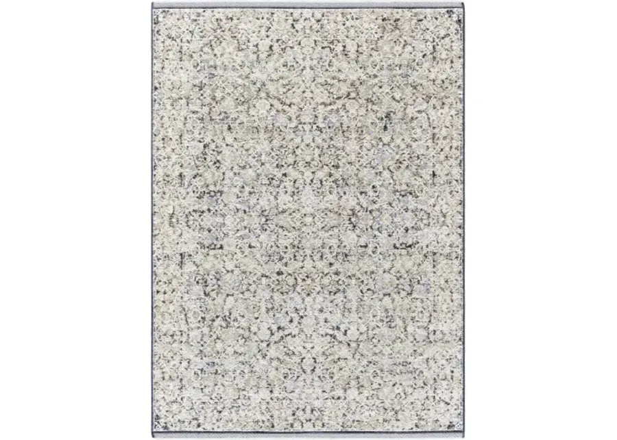 Rivaldo RVD-2300 2'4" x 3'9" Machine Woven Rug