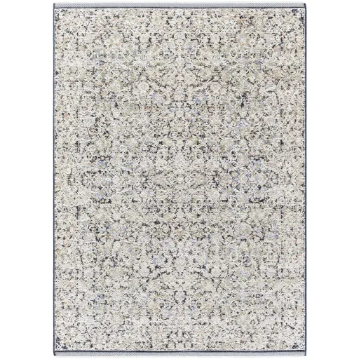 Rivaldo RVD-2300 2'4" x 3'9" Machine Woven Rug