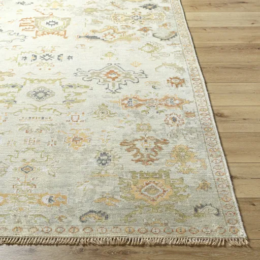 Shiraz SHZ-2301 8' x 10' Handmade Rug