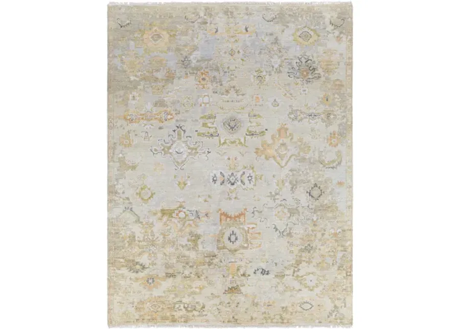 Shiraz SHZ-2301 8' x 10' Handmade Rug