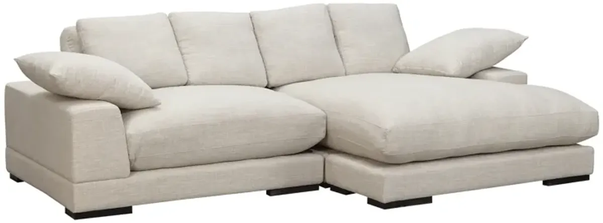 PLUNGE SECTIONAL