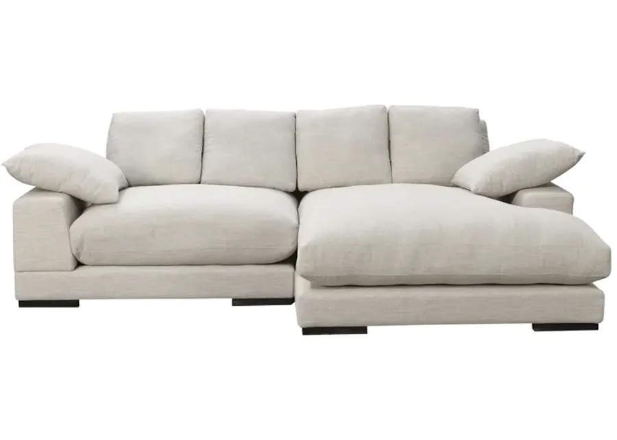 PLUNGE SECTIONAL