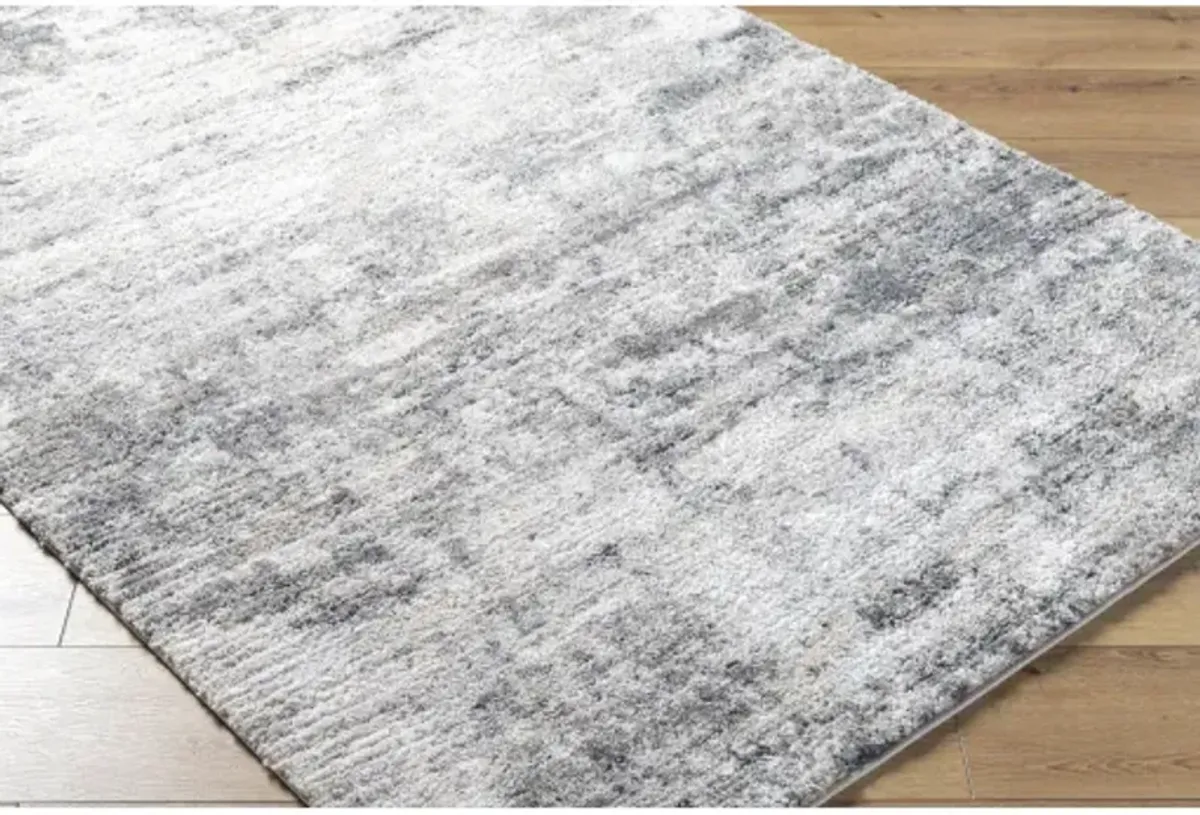 Portofino PTF-2320 7'10" x 10' Machine Woven Rug