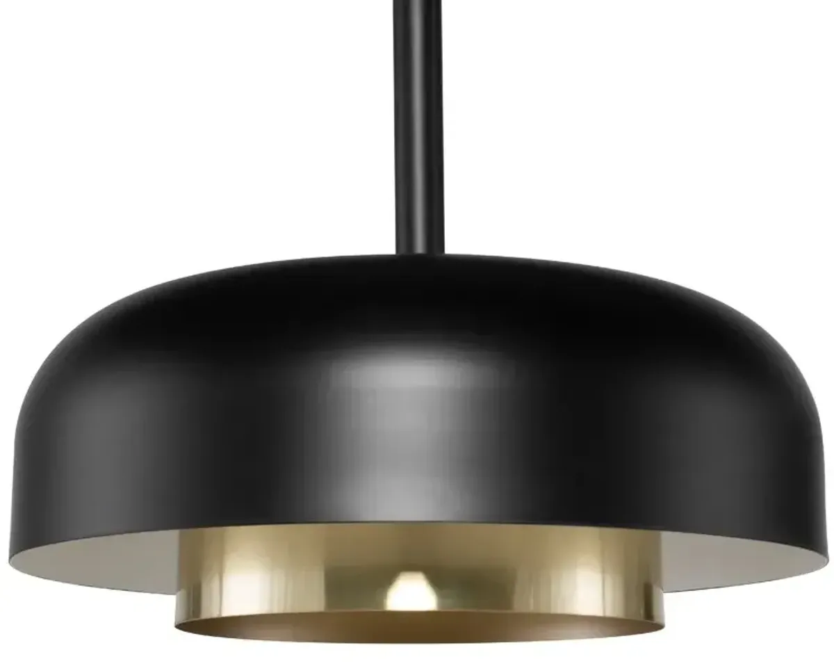 Shaya Pendant Lighting