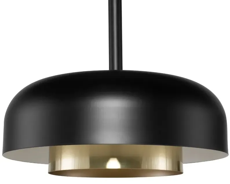 Shaya Pendant Lighting