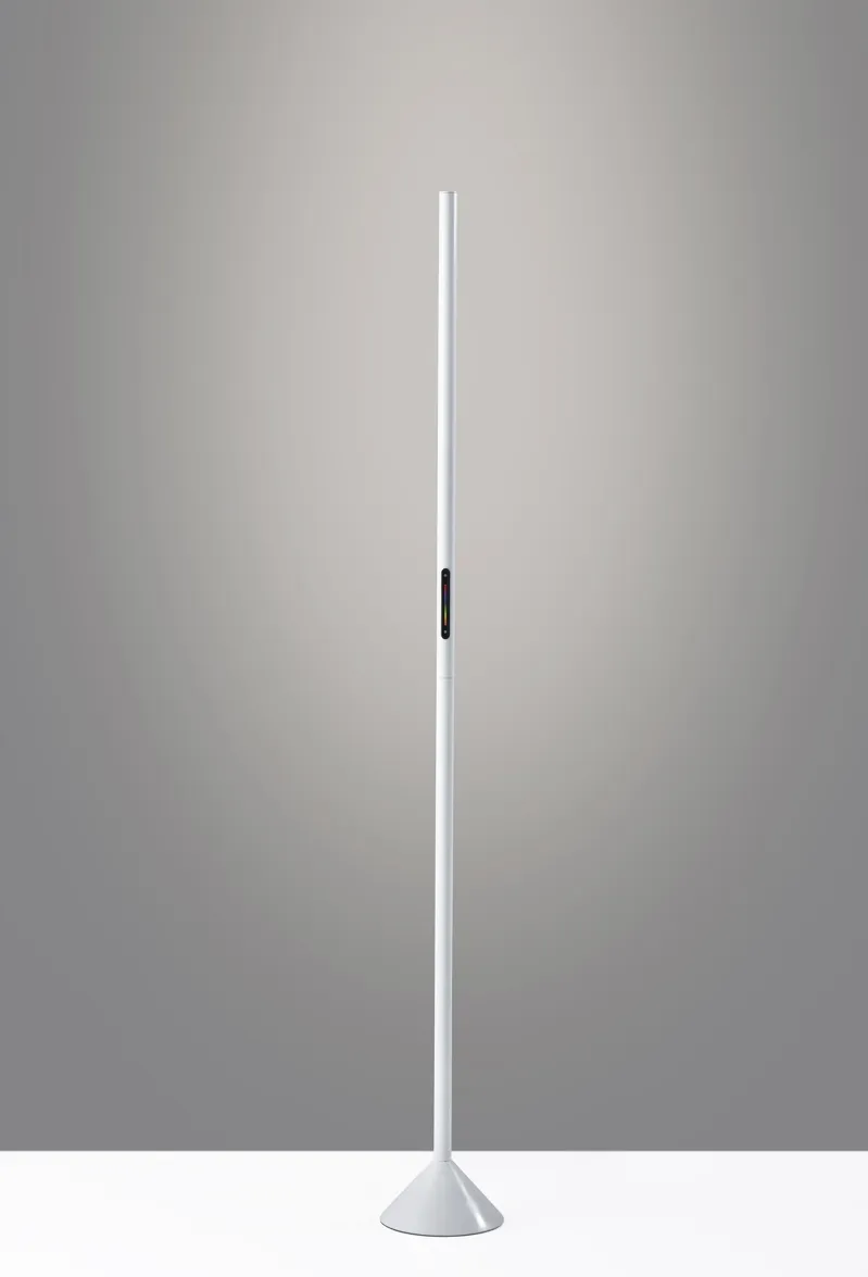 Cole LED Color Changing Wall Washer Floor Lamp