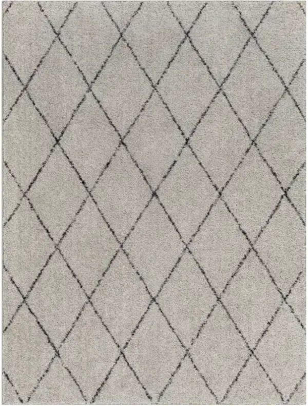 Lykke LKK-2302 2'7" x 4' Machine Woven Rug