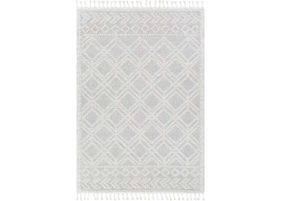 Valencia 5'3" x 7' Rug