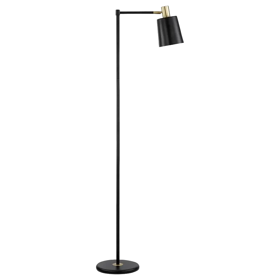 Rhapsody 1-light Floor Lamp with Horn Shade Black