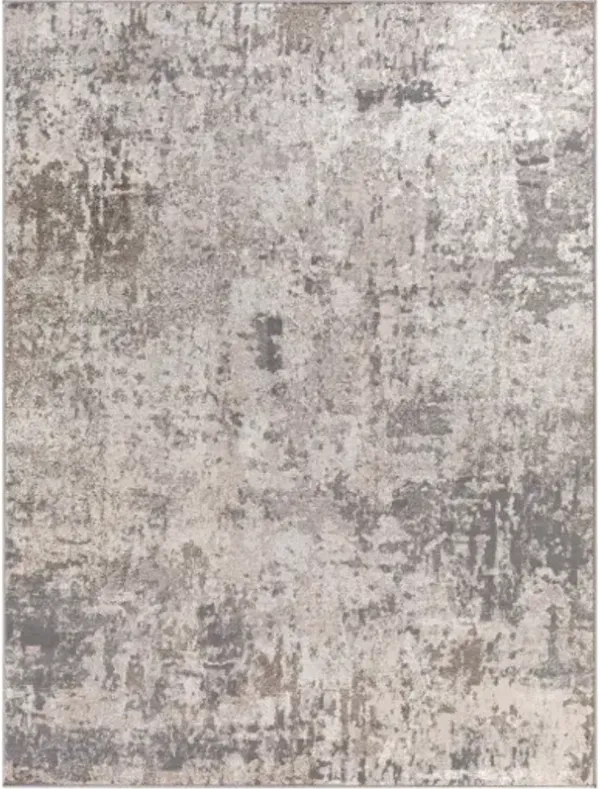 Firenze 31" x 46" Rug
