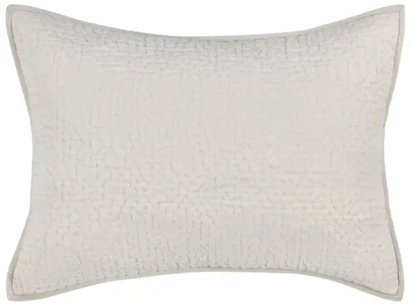 Danica 100% Cotton Bone Standard Sham 