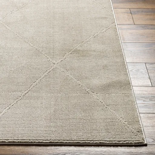 Alder ALD-2301 1'11" x 3'9" Machine Woven Rug