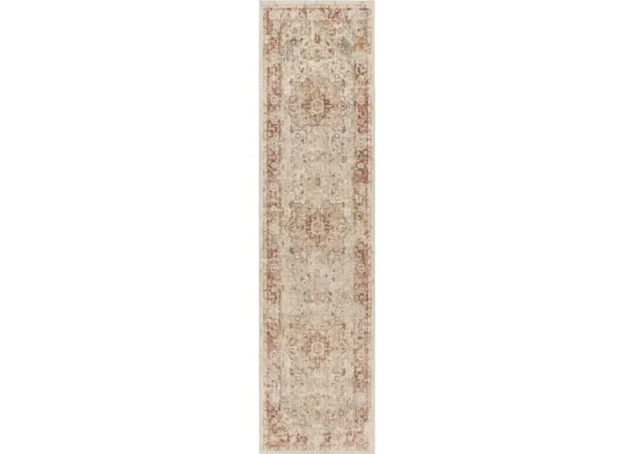 Aspendos APS-2308 2'7" x 10' Rug