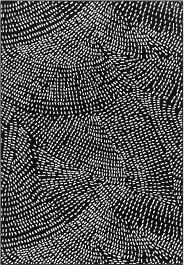 Contempo 5'3" x 7'7" Rug