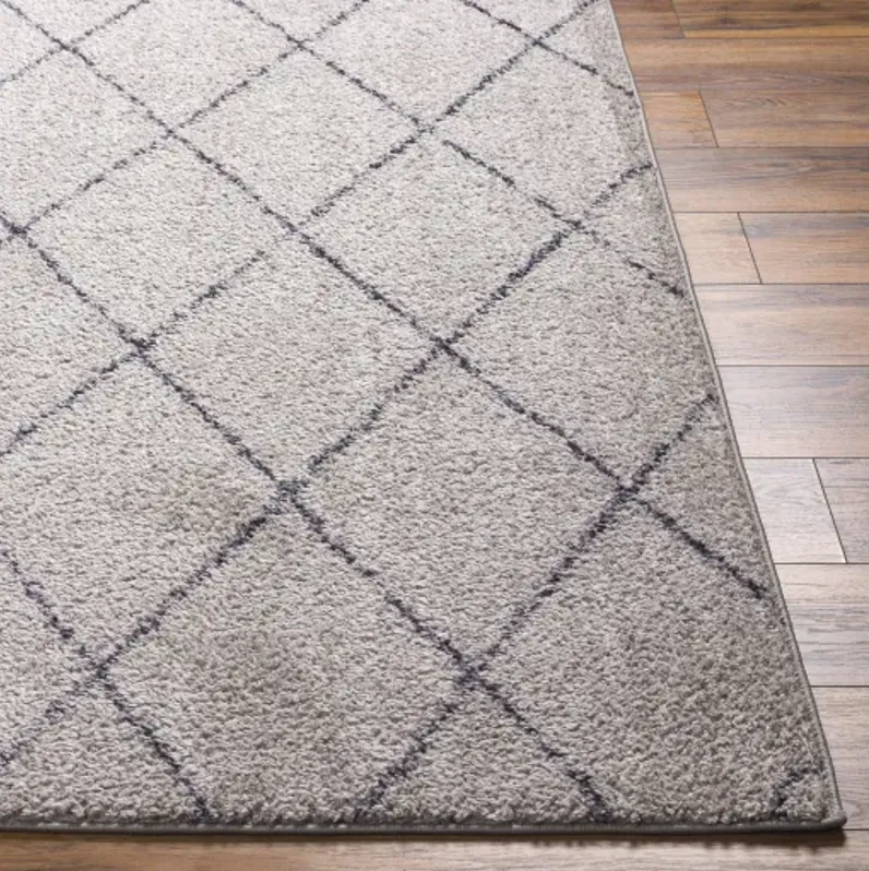 Lykke LKK-2302 8'10" x 11'10" Machine Woven Rug