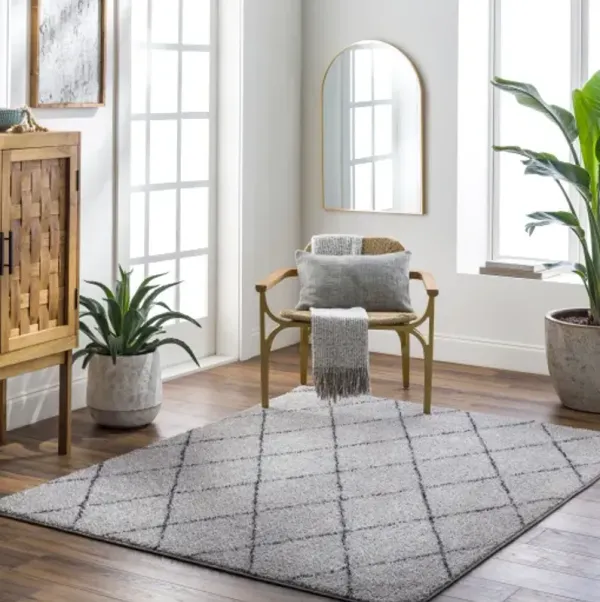 Lykke LKK-2302 8'10" x 11'10" Machine Woven Rug