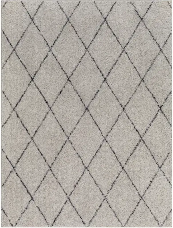 Lykke LKK-2302 8'10" x 11'10" Machine Woven Rug