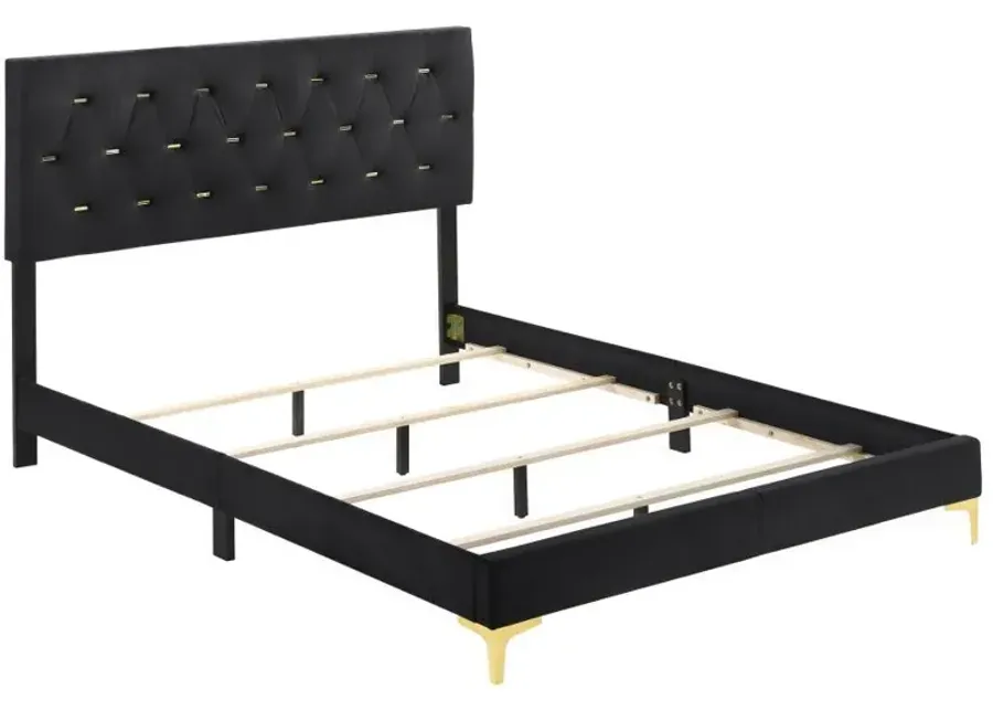 Kendall Tufted Panel Queen Bed Black and Gold