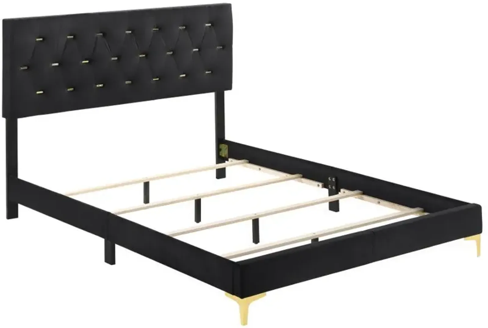 Kendall Tufted Panel Queen Bed Black and Gold