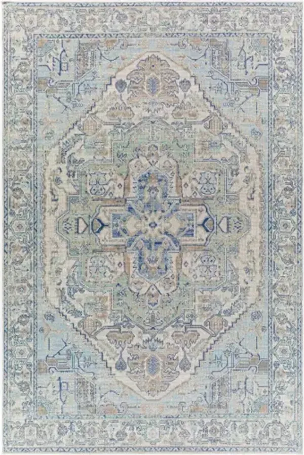 Rafetus 5'3" x 7'7" Rug