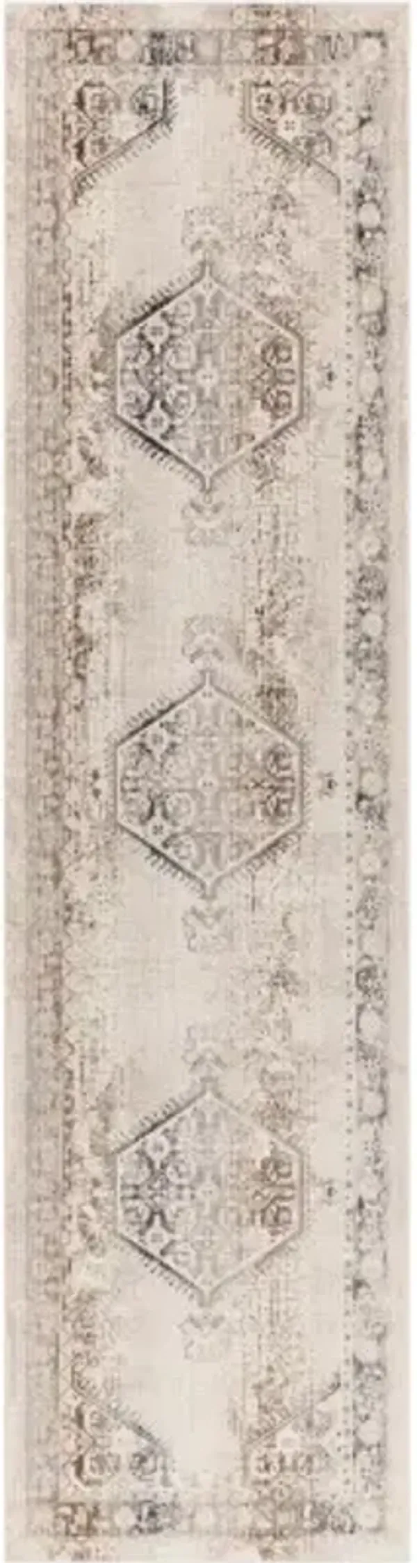 Dublin 2'9" x 10'3" Rug