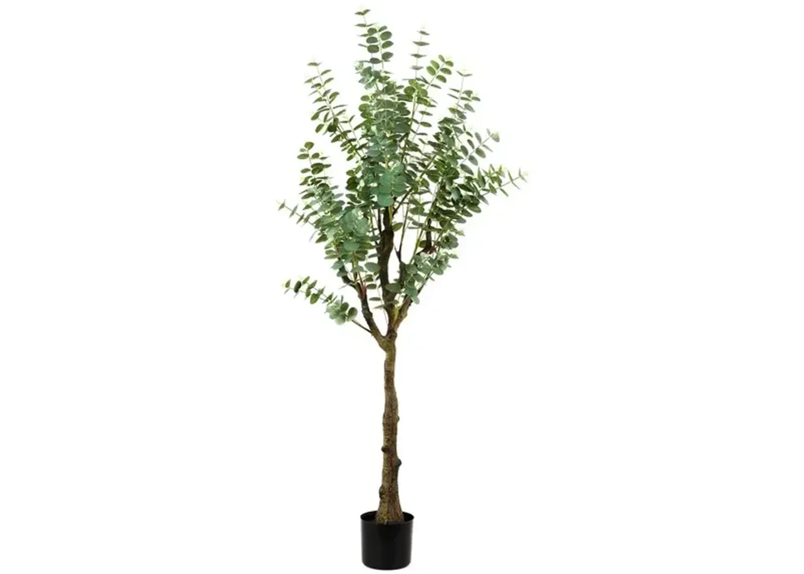 Faux Potted Eucalyptus Tree