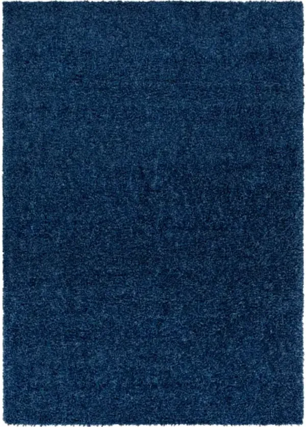 Deluxe Shag 2' x 3' Rug