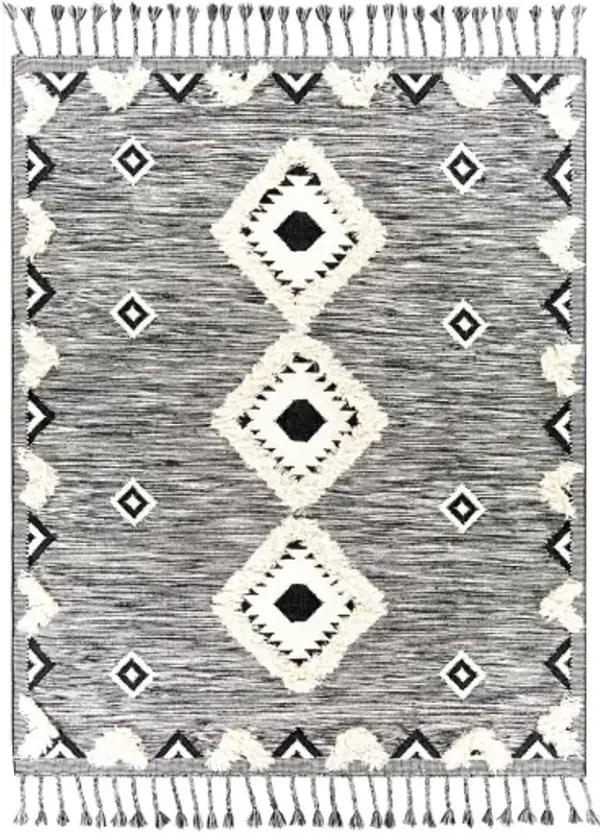 Apache 8' x 10' Rug