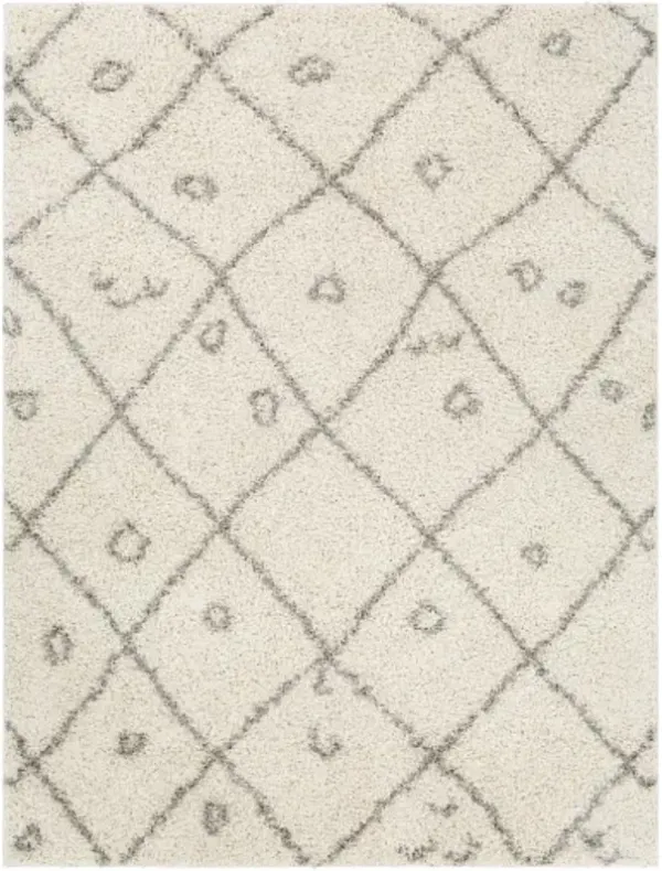 Taza shag 7'10" x 10' Rug