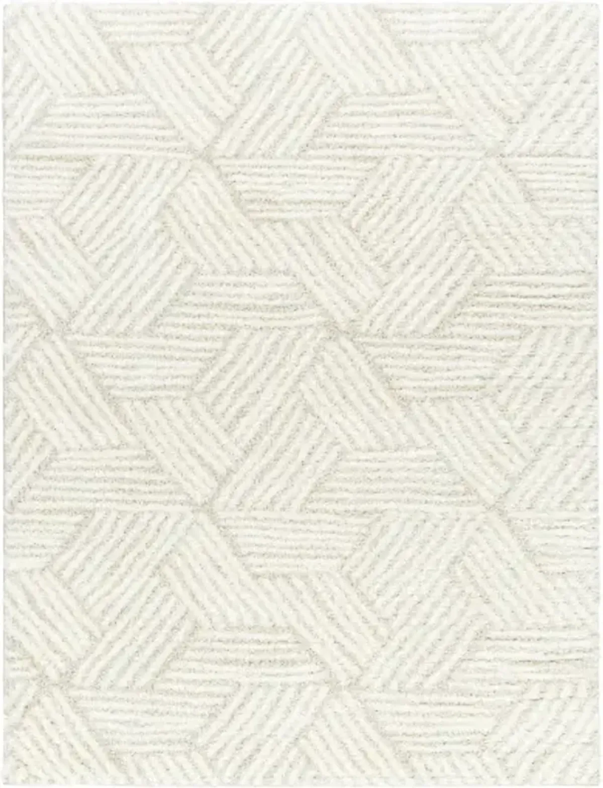 Cloudy Shag CDG-2319 6'7" x 9' Machine Woven Rug