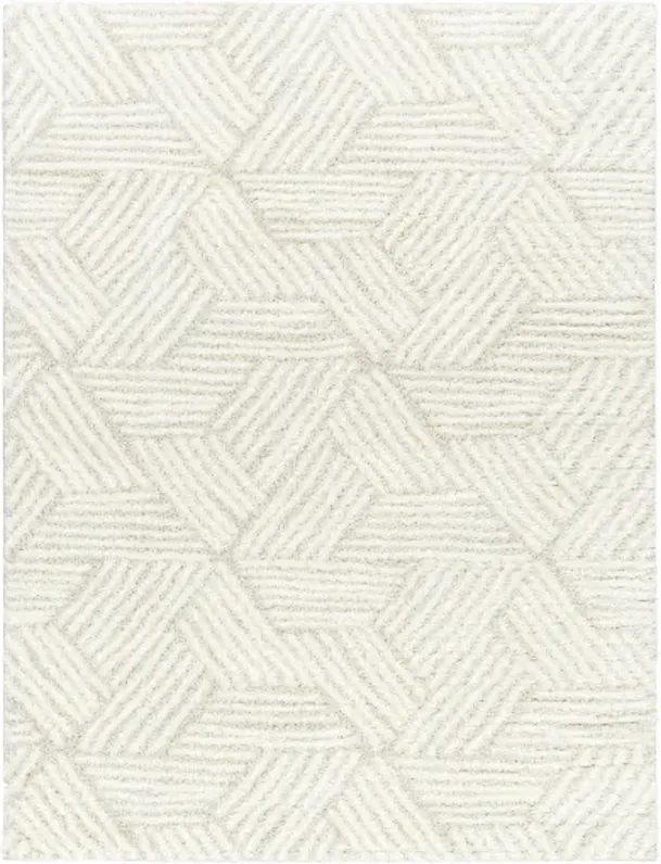 Cloudy Shag CDG-2319 6'7" x 9' Machine Woven Rug