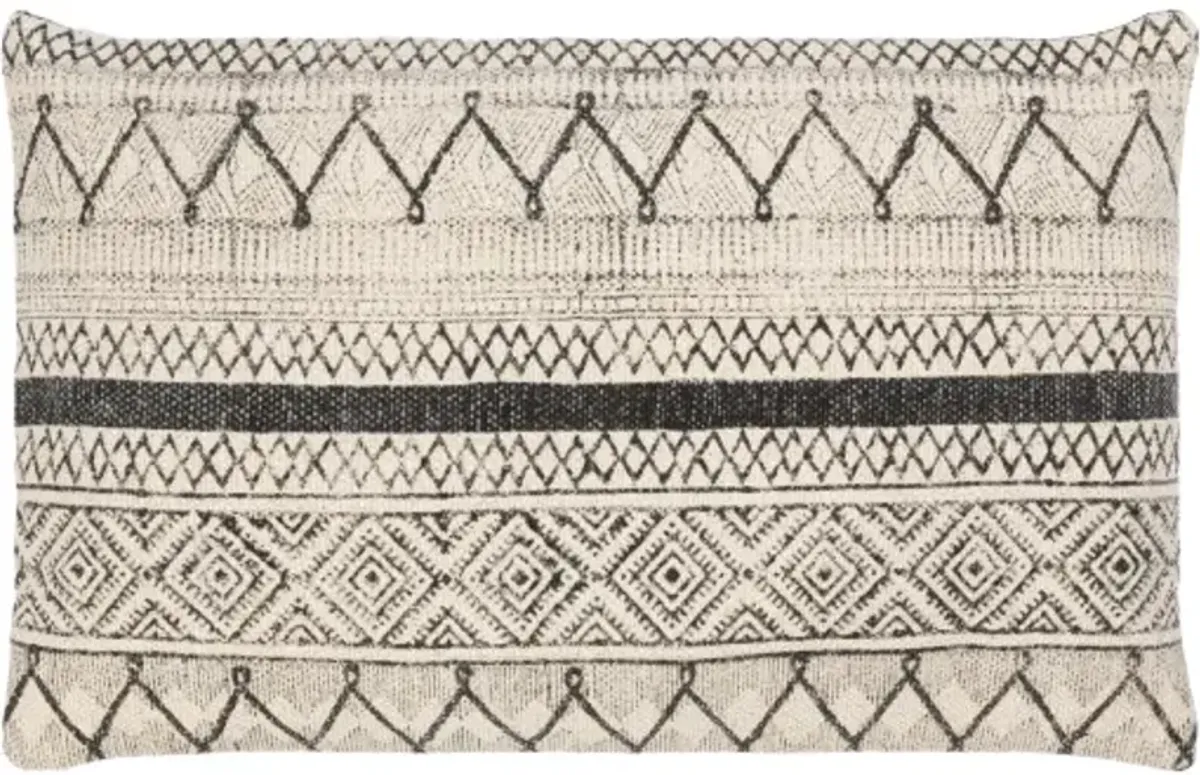 Janya 14"H x 22"W Pillow Kit