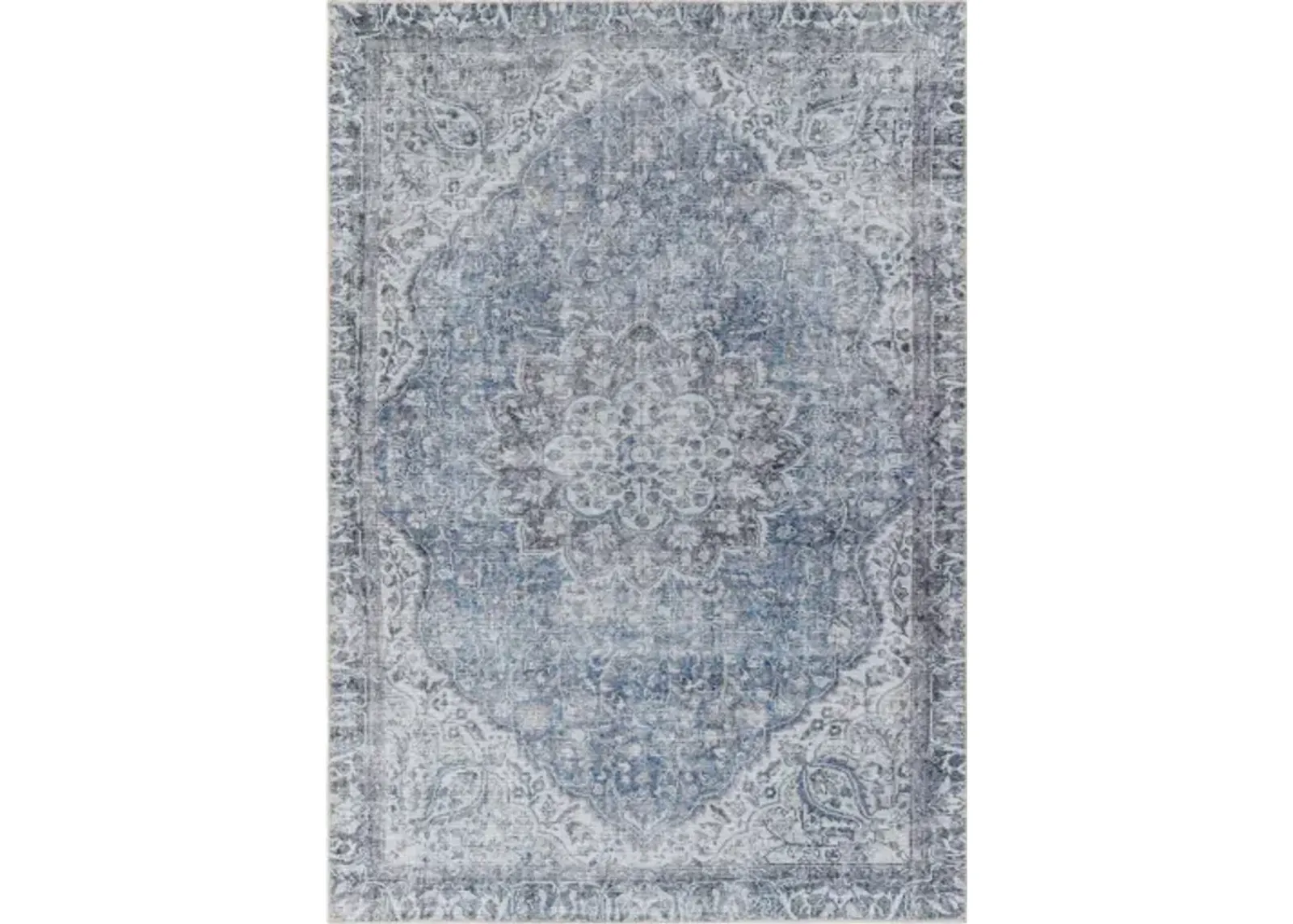 Amelie AML-2364 8'10" x 12' Machine Woven Rug