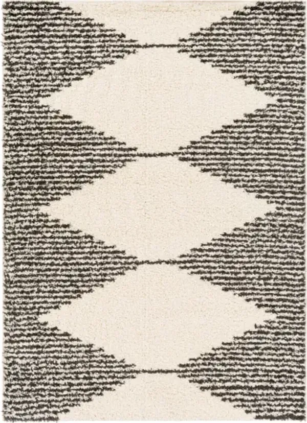 Beni shag 5'3" x 7' Rug