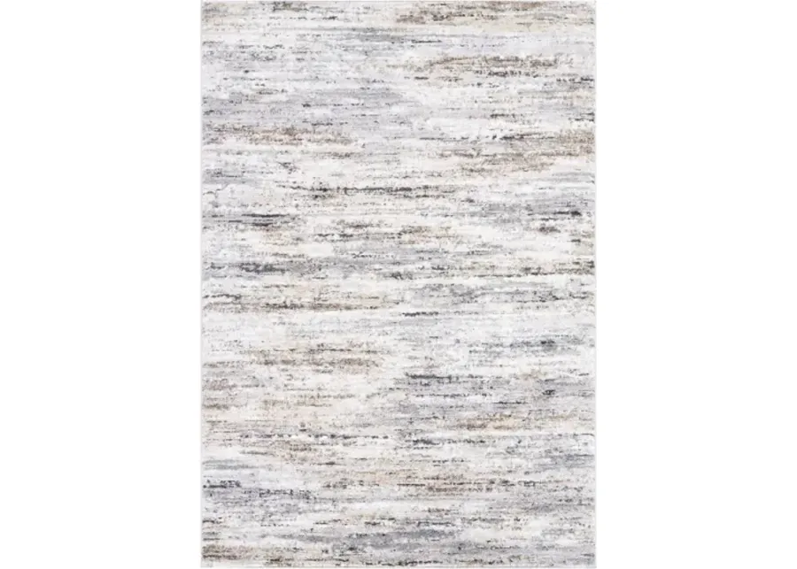 Andorra Plus ARP-2319 5'3" x 7'3" Machine Woven Rug