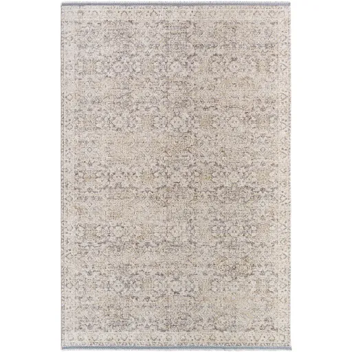 Rivaldo RVD-2311 2'4" x 3'9" Machine Woven Rug