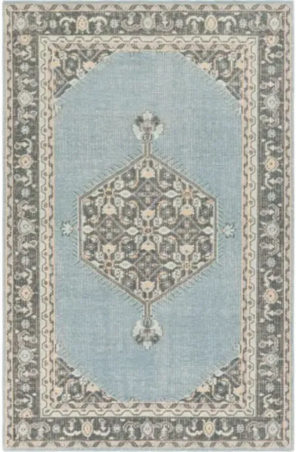 Zahra 3'6" x 5'6" Rug