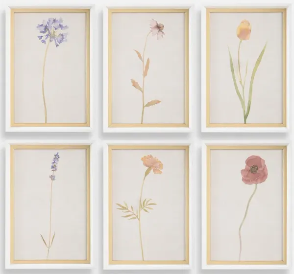 Wild Flourish Framed Floral Prints Set/6