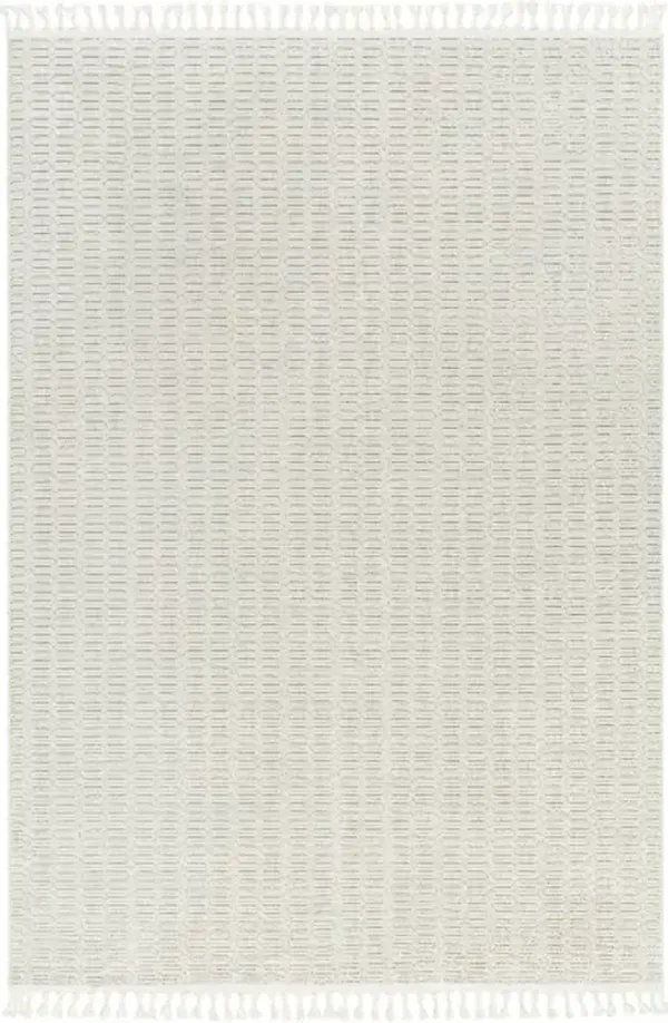 Finland FND-2310 6'7" x 9' Machine Woven Rug