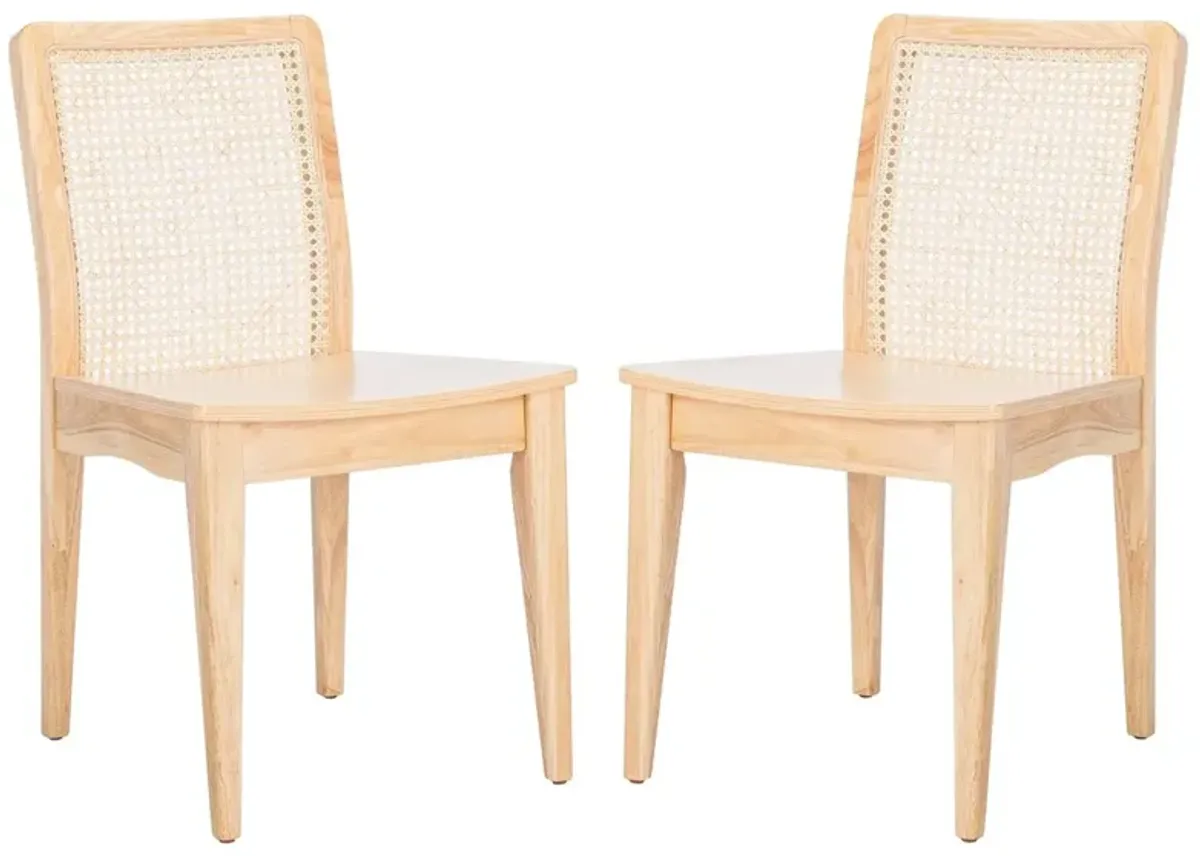 BENICIO RATTAN DINING CHAIR  - Set of 2