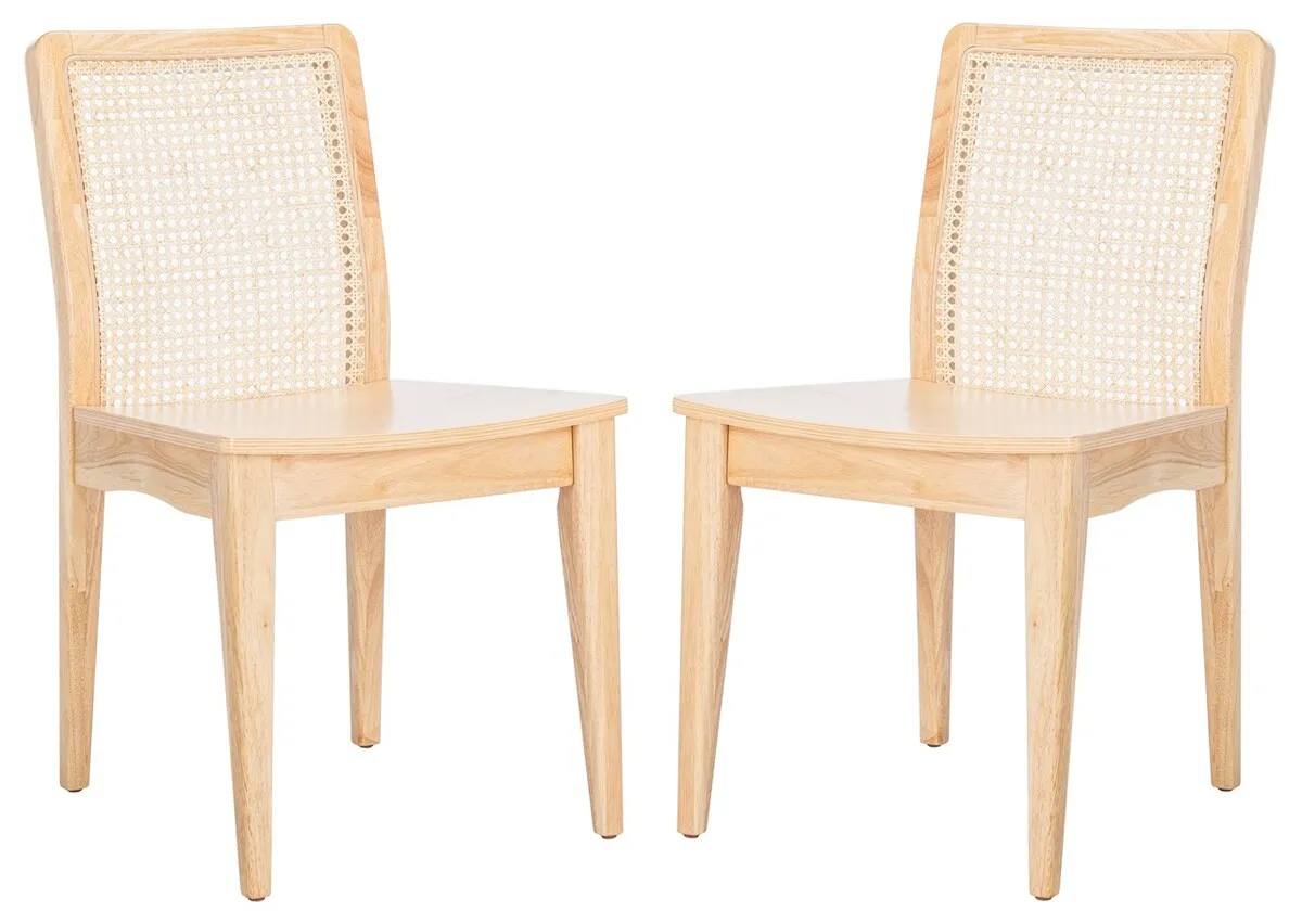 BENICIO RATTAN DINING CHAIR  - Set of 2