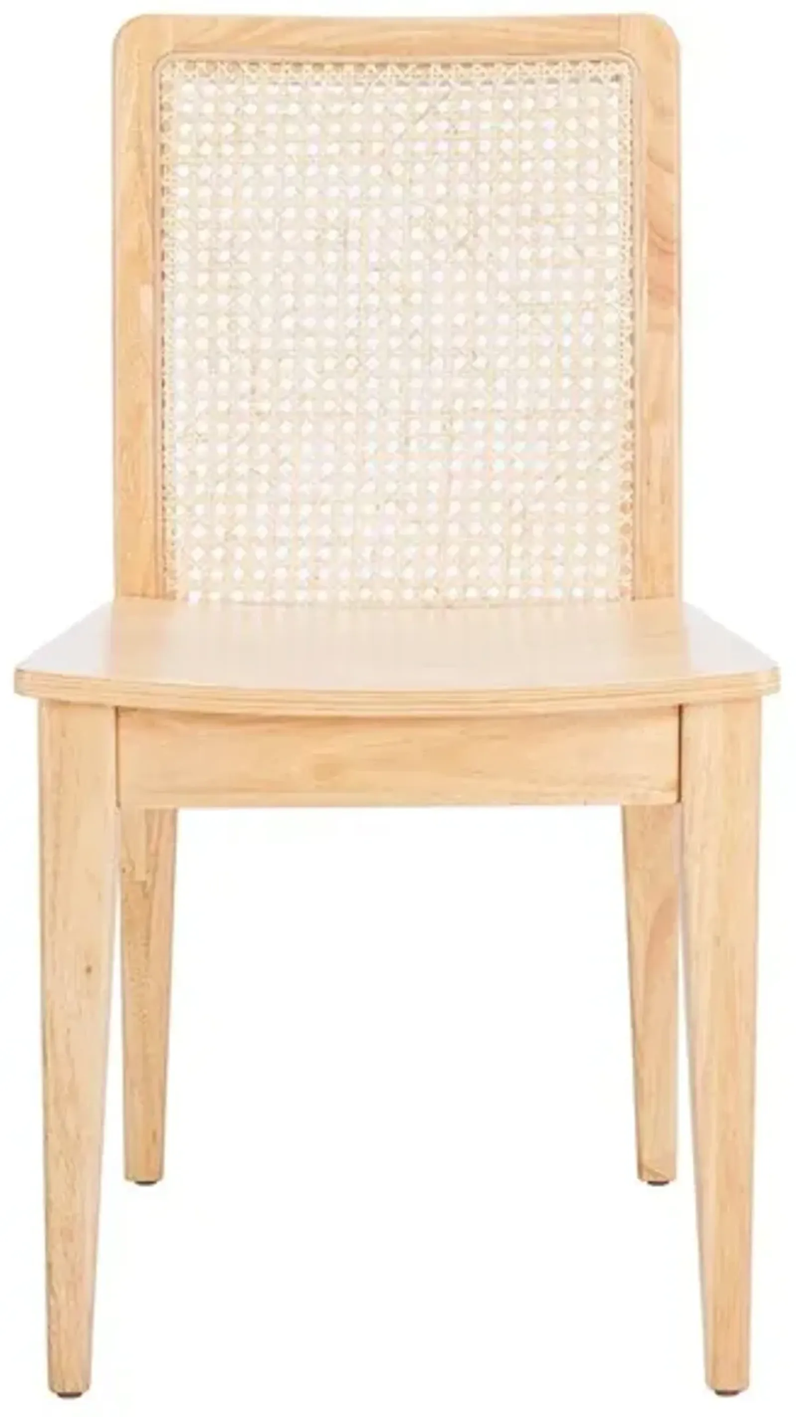 BENICIO RATTAN DINING CHAIR  - Set of 2