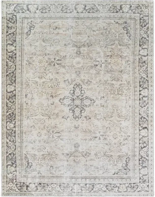 Darling BODA-2304 8'10" x 12' Machine Woven Rug