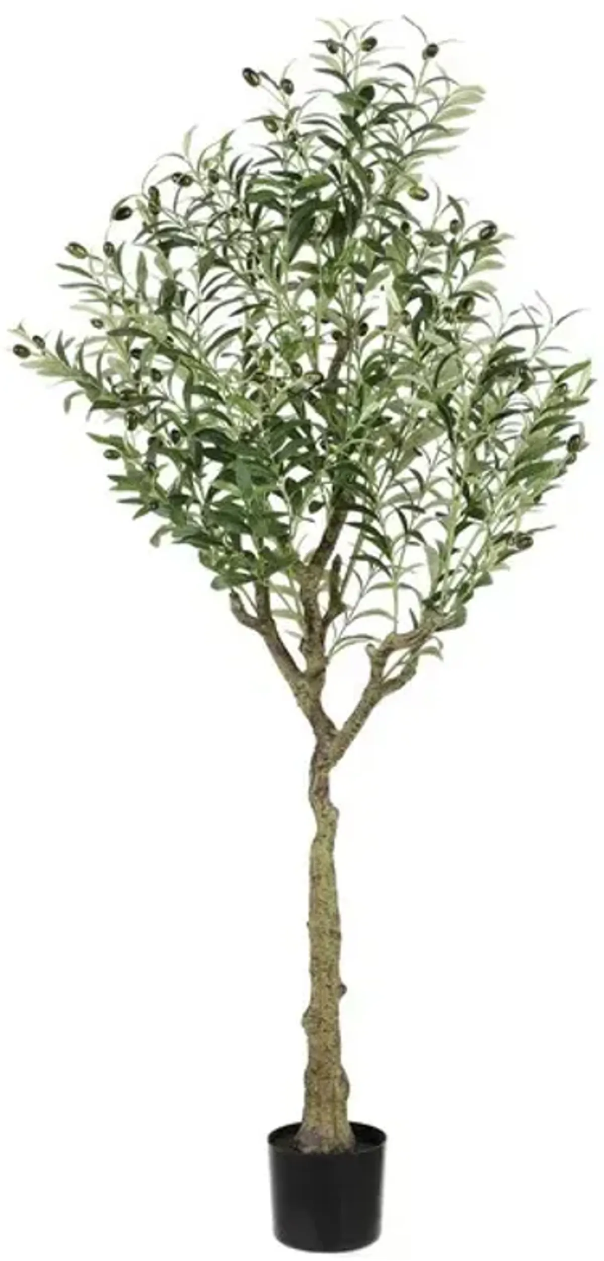 Faux Potted Olive Tree