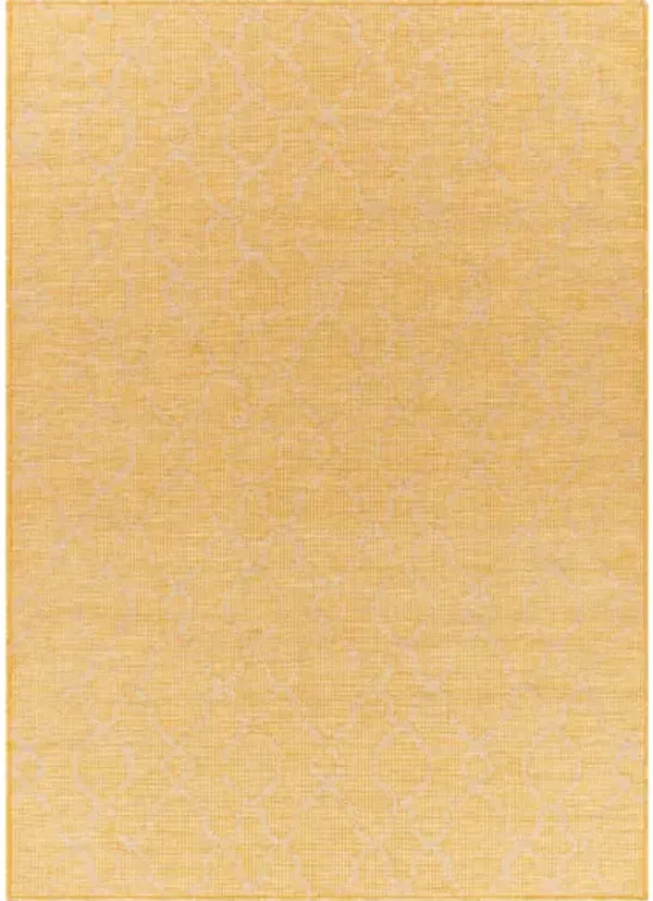 Pasadena 2'6" x 4' Rug