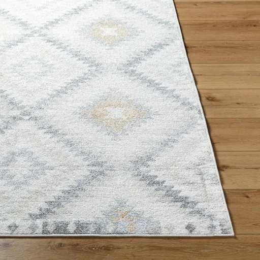 Harput HAP-1166 8'10" x 12'6" Machine Woven Rug